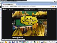 Click image for larger version

Name:	yellow fruit.jpg
Views:	374
Size:	152.4 KB
ID:	5329