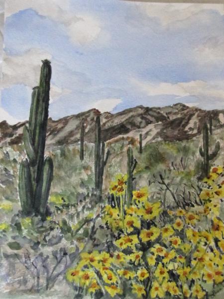 az cactus